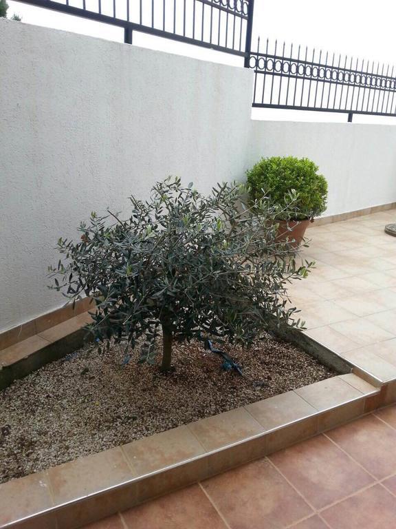 Apartments Sveti Stefan-Marko Ngoại thất bức ảnh